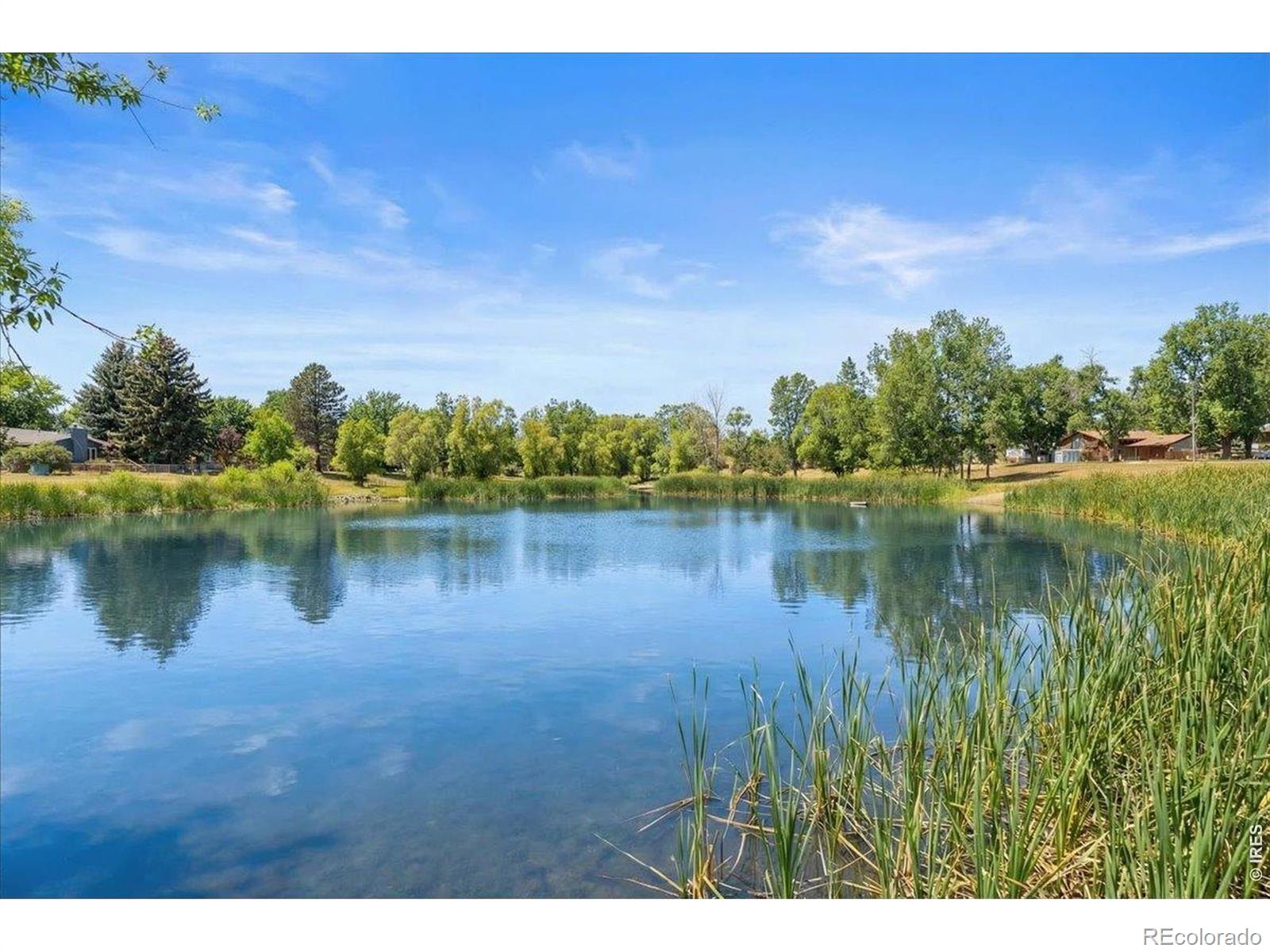 1625 W Elizabeth Street Fort Collins CO 80521