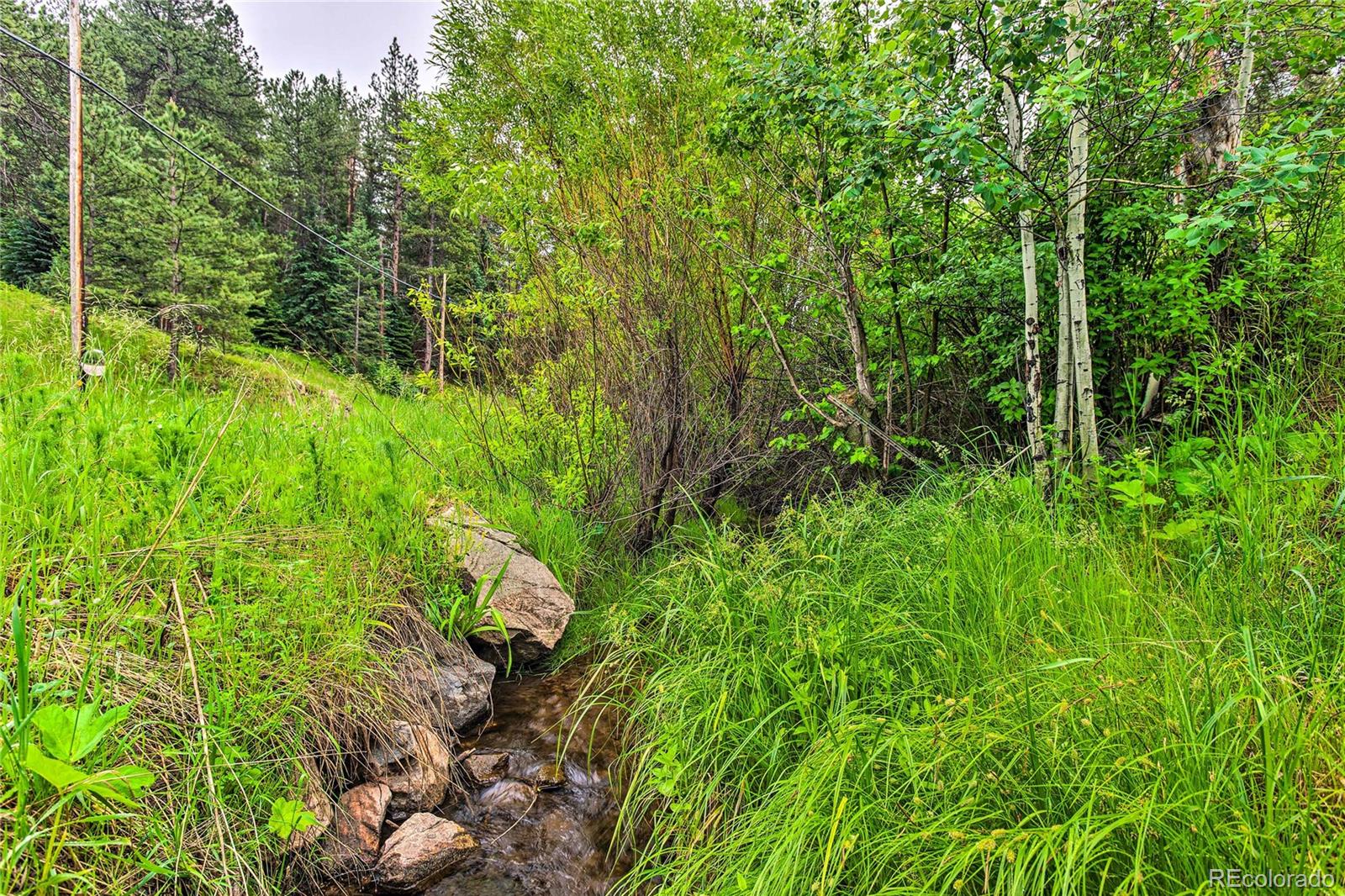 7559 S Turkey Creek Road Morrison CO 80465