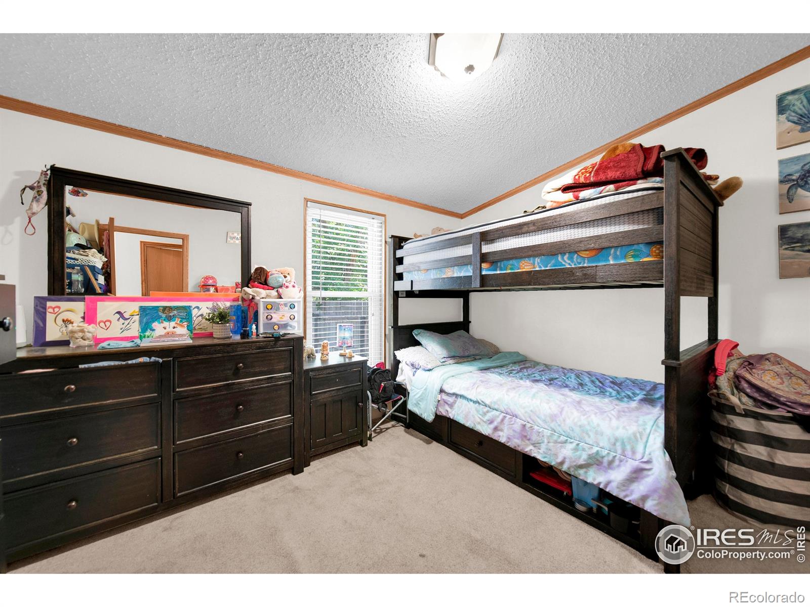 29391 Highway 34 Brush CO 80723