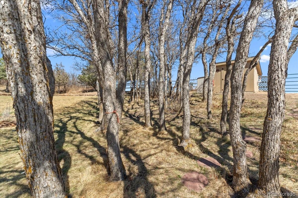 847 Coronado Drive Sedalia CO 80135