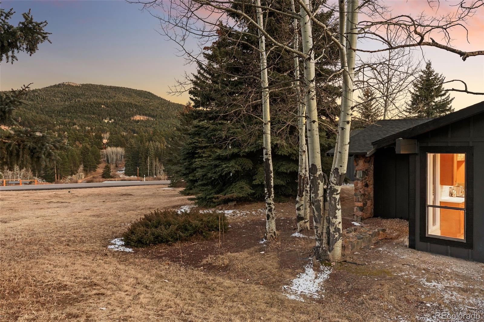 29176 Little Big Horn Drive Evergreen CO 80439