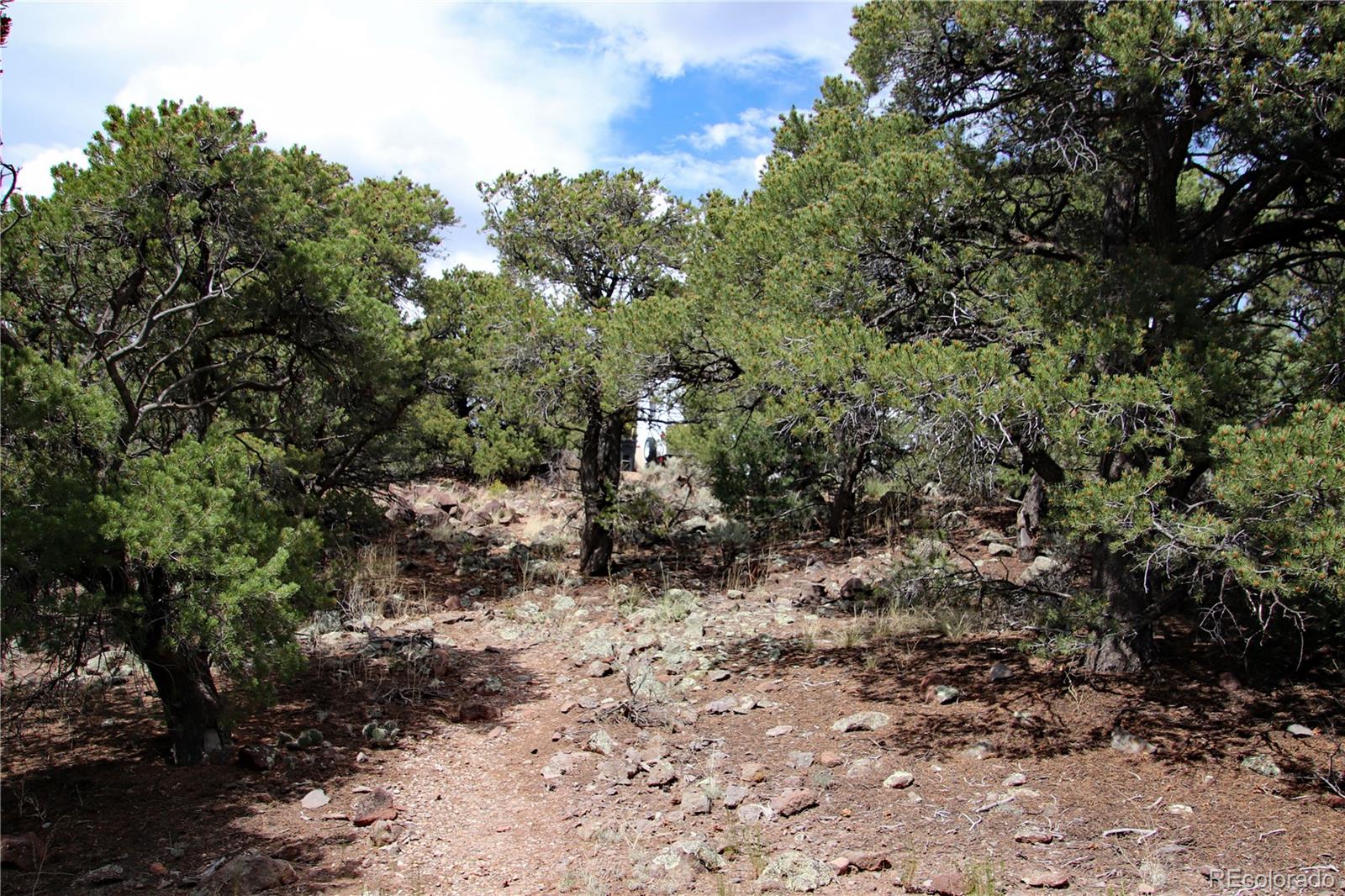 2252 White Tail Road #2 Circle San Luis CO 81152