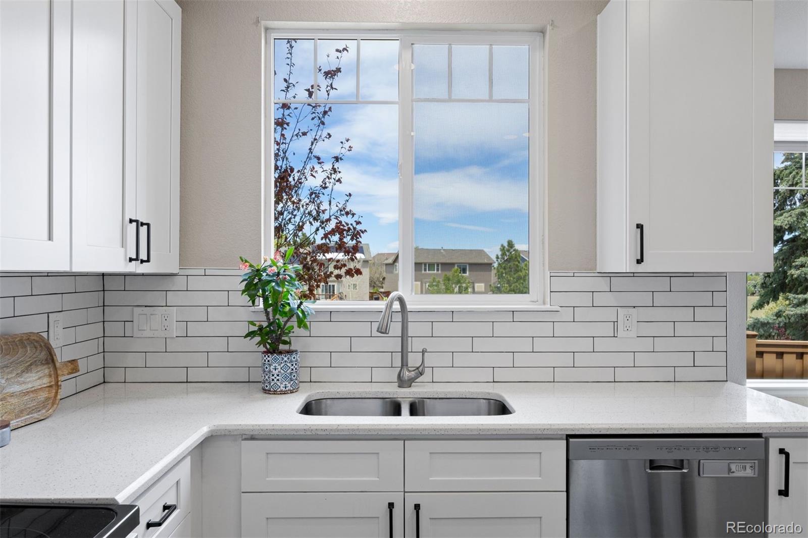 3207 Green Haven Circle Highlands Ranch CO 80126