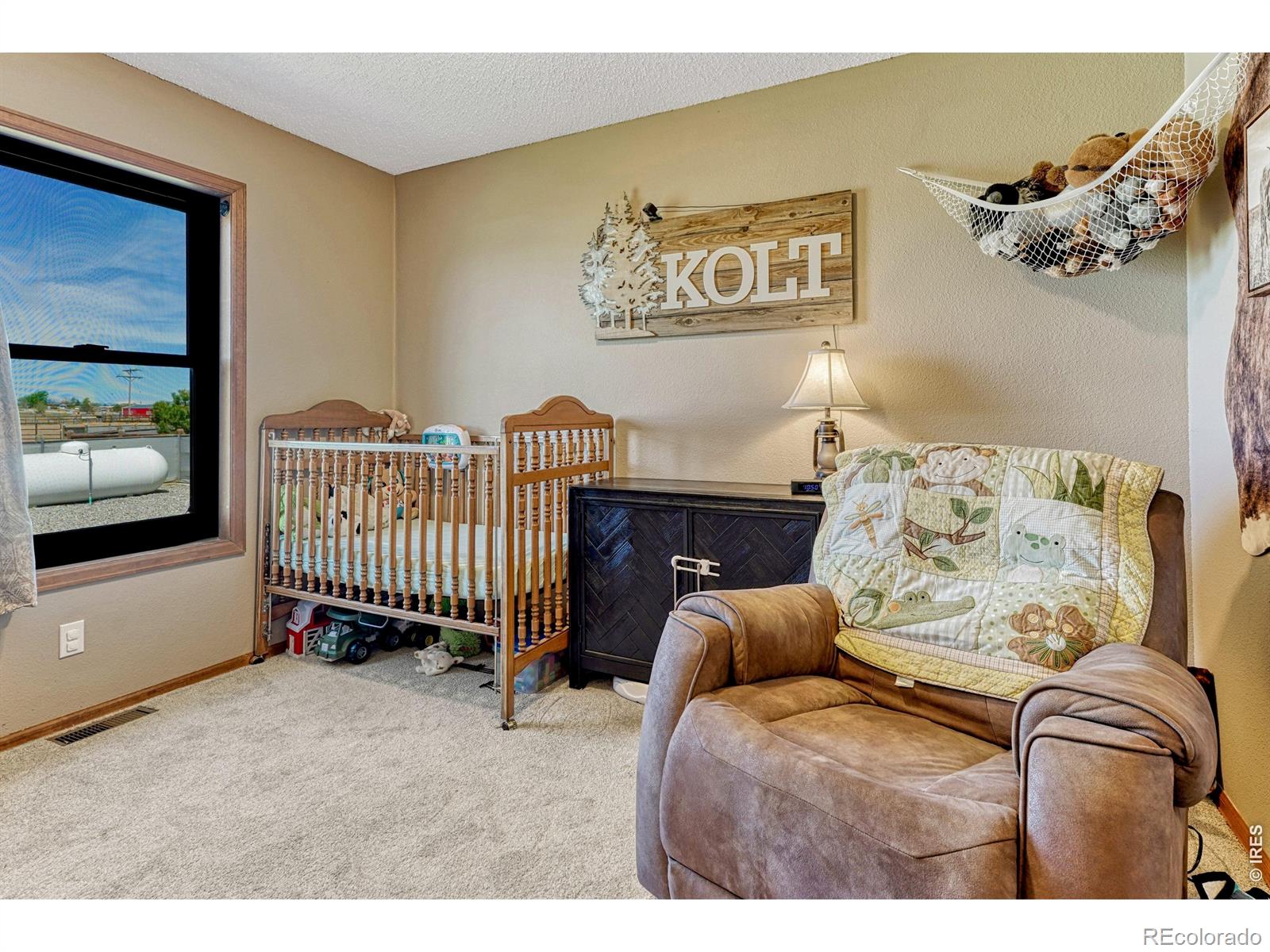 3101 Vantage Drive Hudson CO 80642