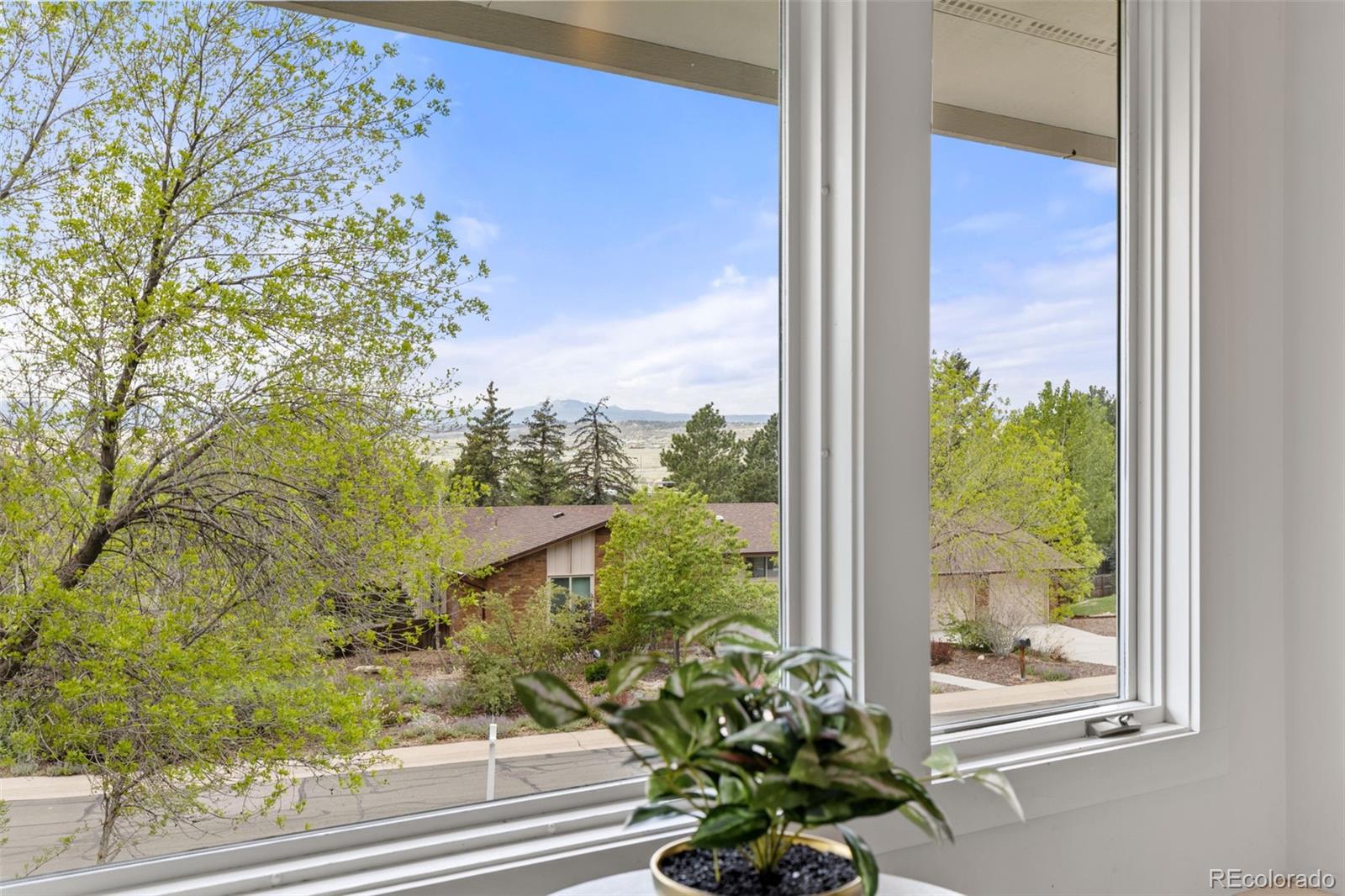 33 Oakridge Drive Castle Rock CO 80104