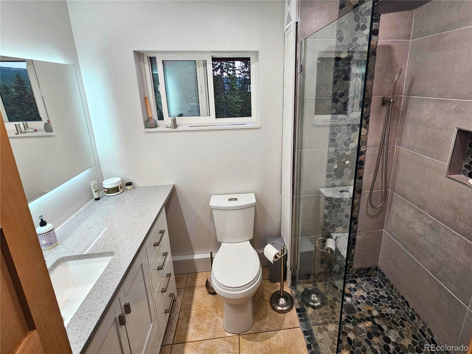 232 Goldfinch Place Alma CO 80420