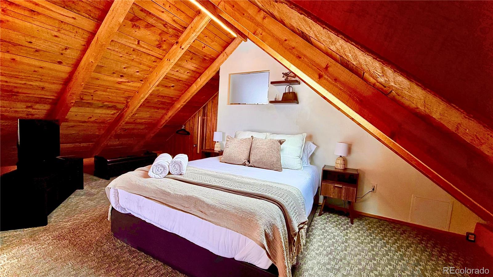 232 Goldfinch Place Alma CO 80420