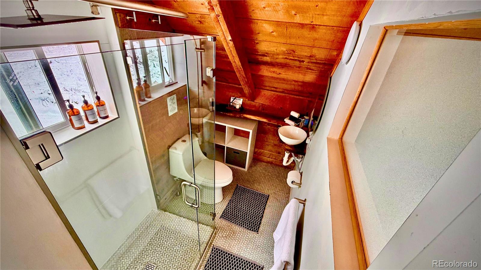 232 Goldfinch Place Alma CO 80420