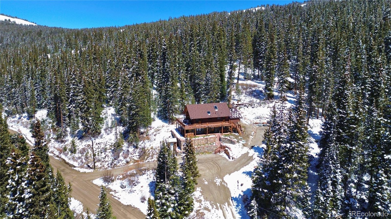232 Goldfinch Place Alma CO 80420