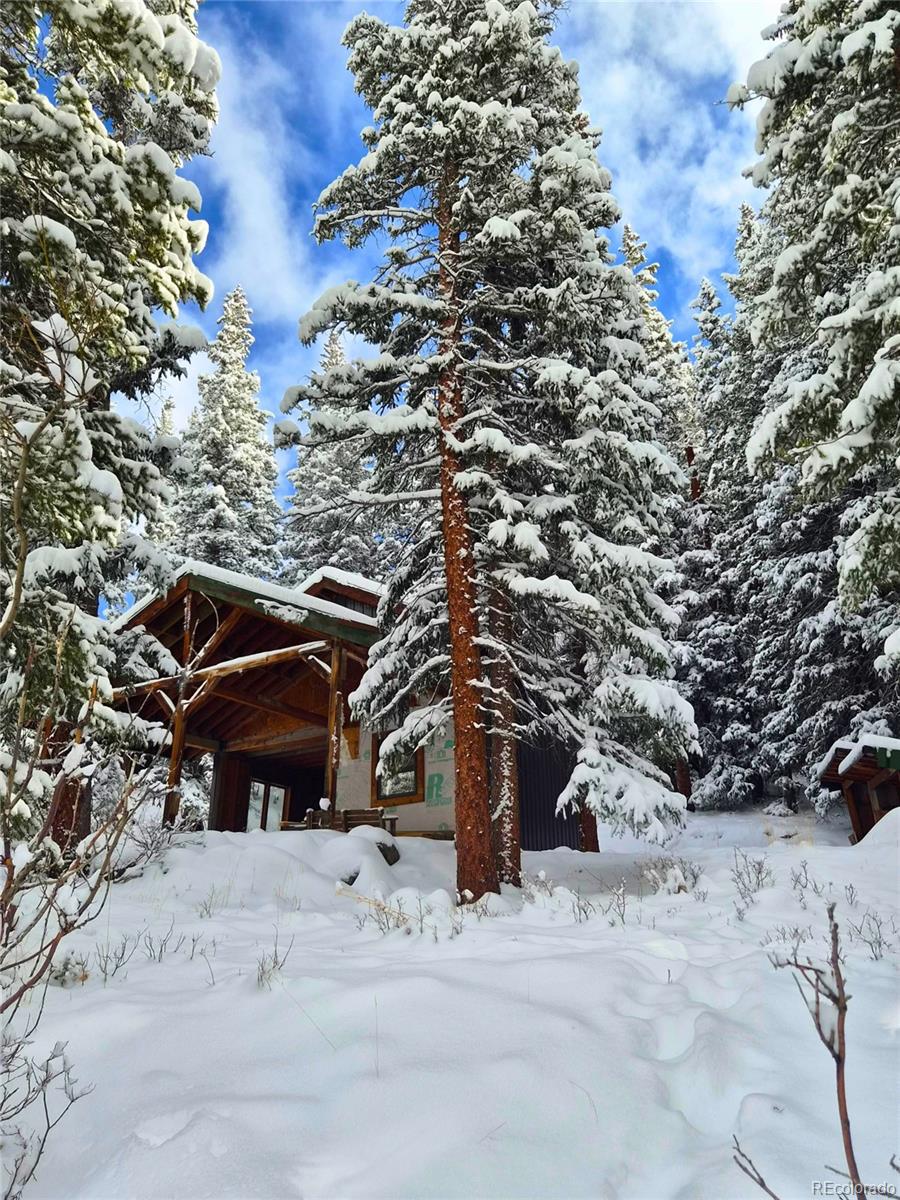 232 Goldfinch Place Alma CO 80420