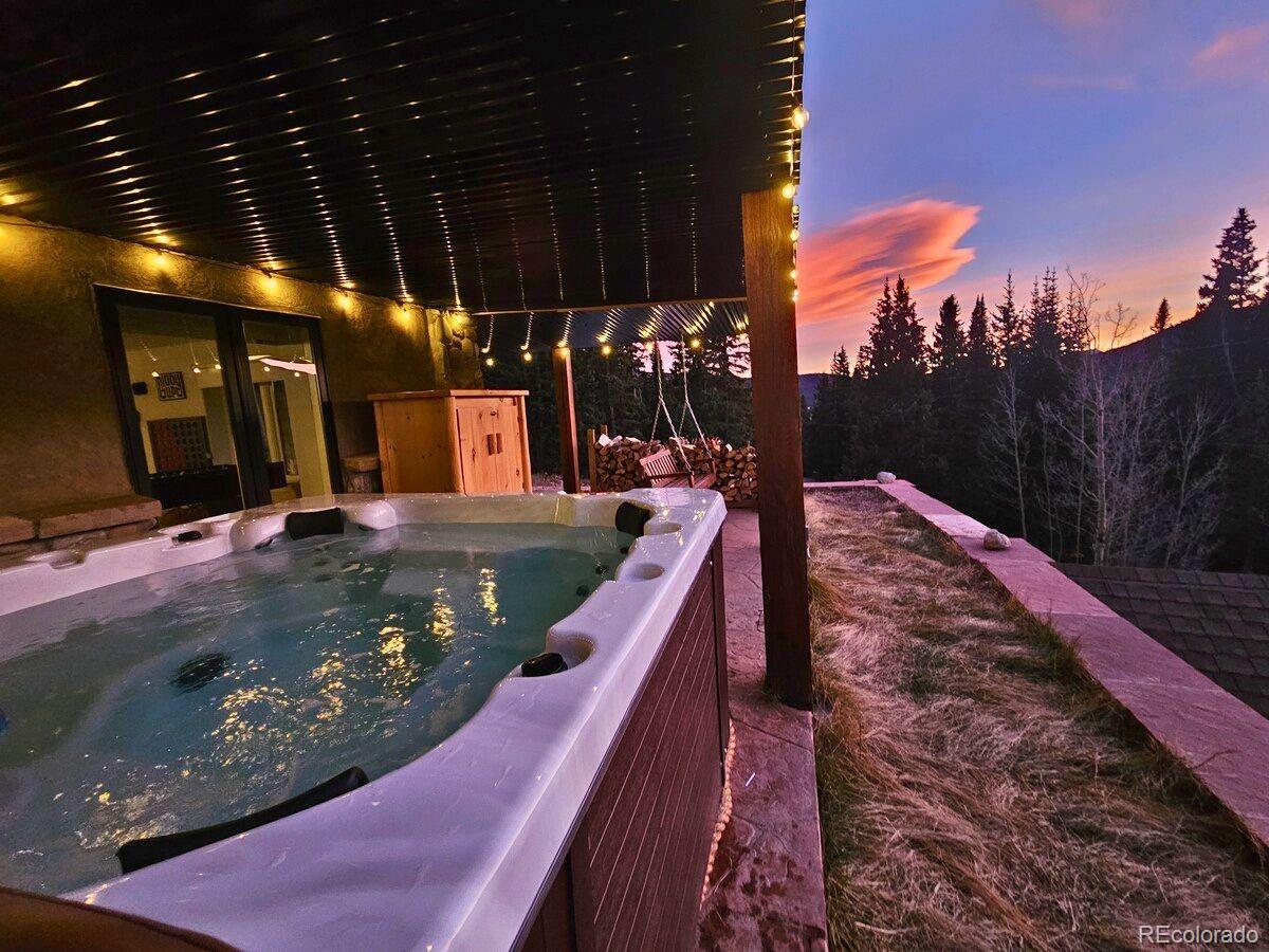 232 Goldfinch Place Alma CO 80420