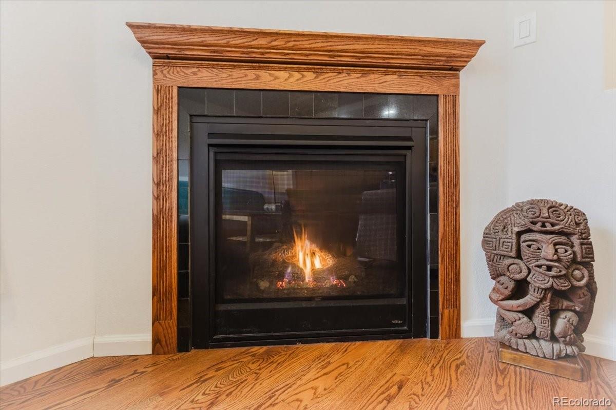 2771 Dundee Place Erie CO 80516
