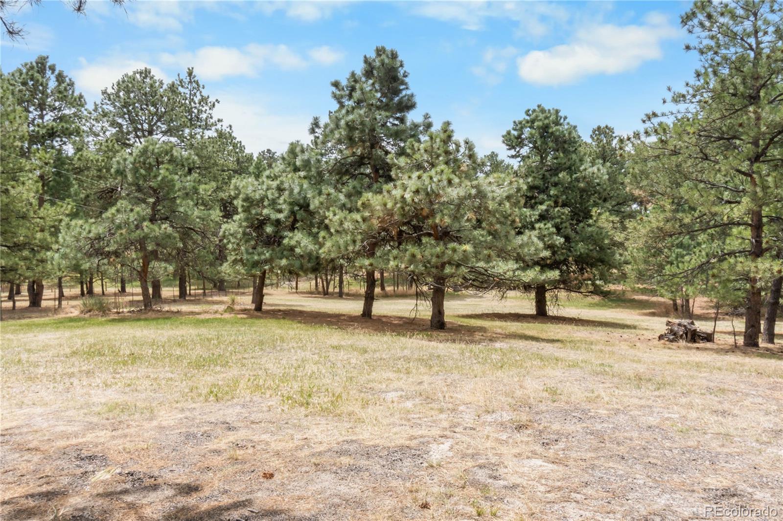 5336 County Road 142 Elizabeth CO 80107