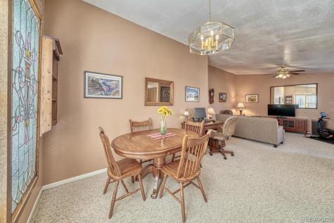 513 Chipeta Trail Salida CO 81201