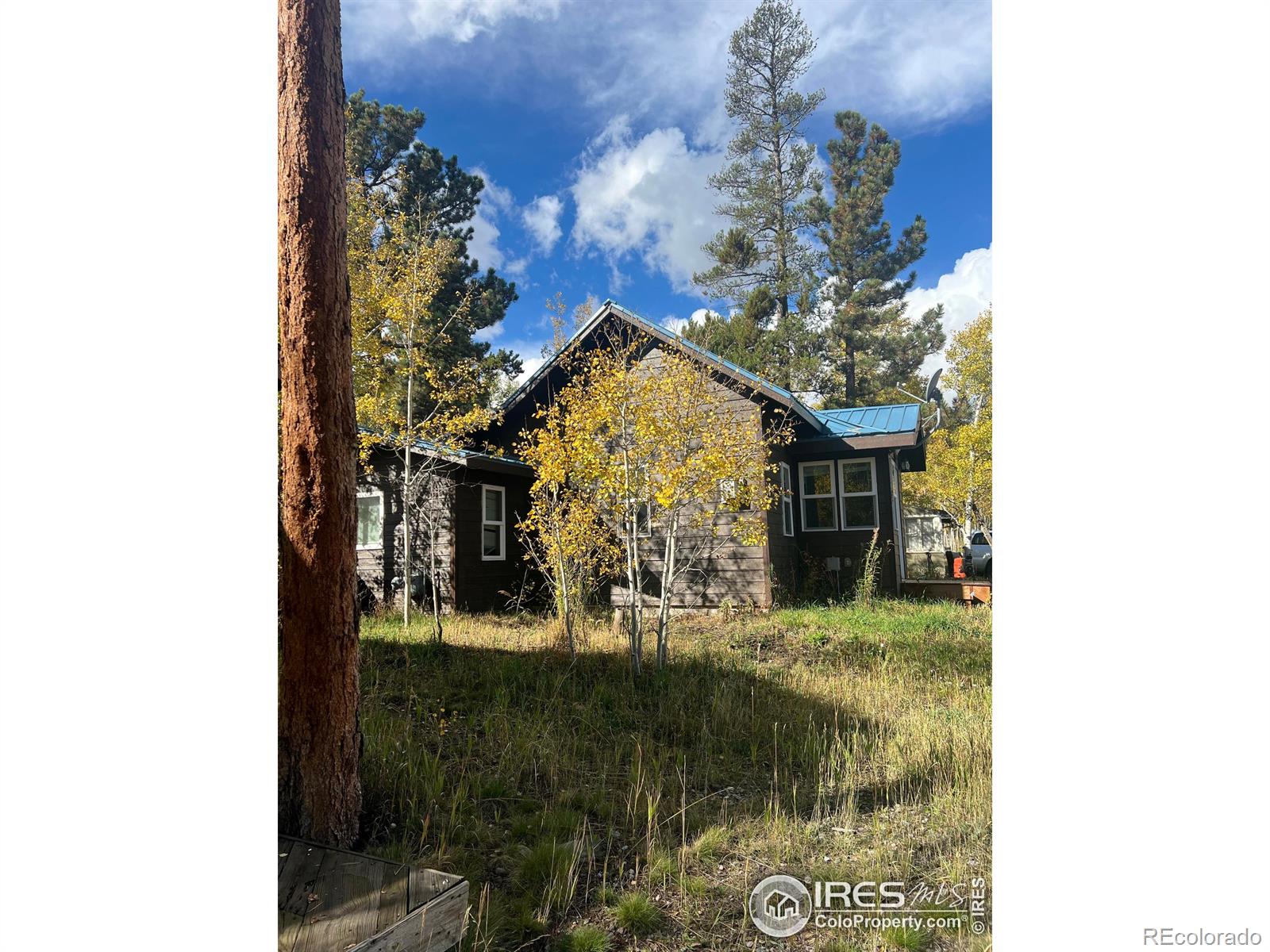 470 W Spring Street Nederland CO 80466