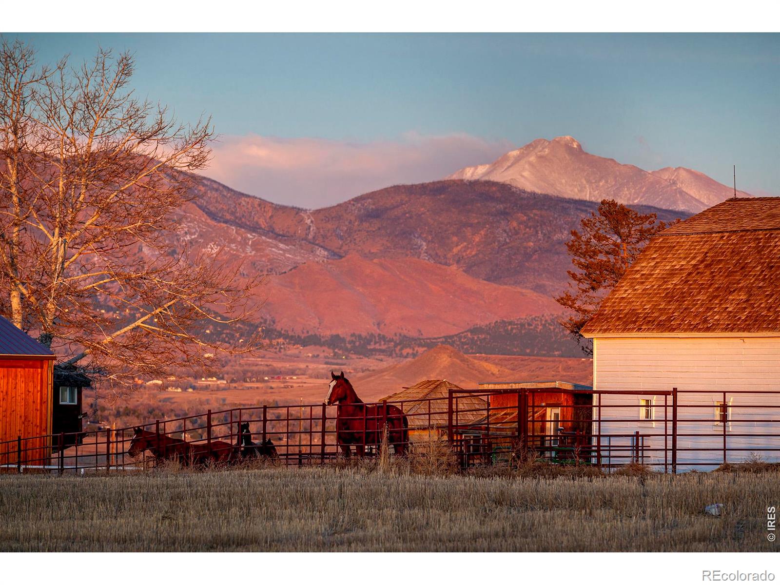 8642 Mineral Road Longmont CO 80503