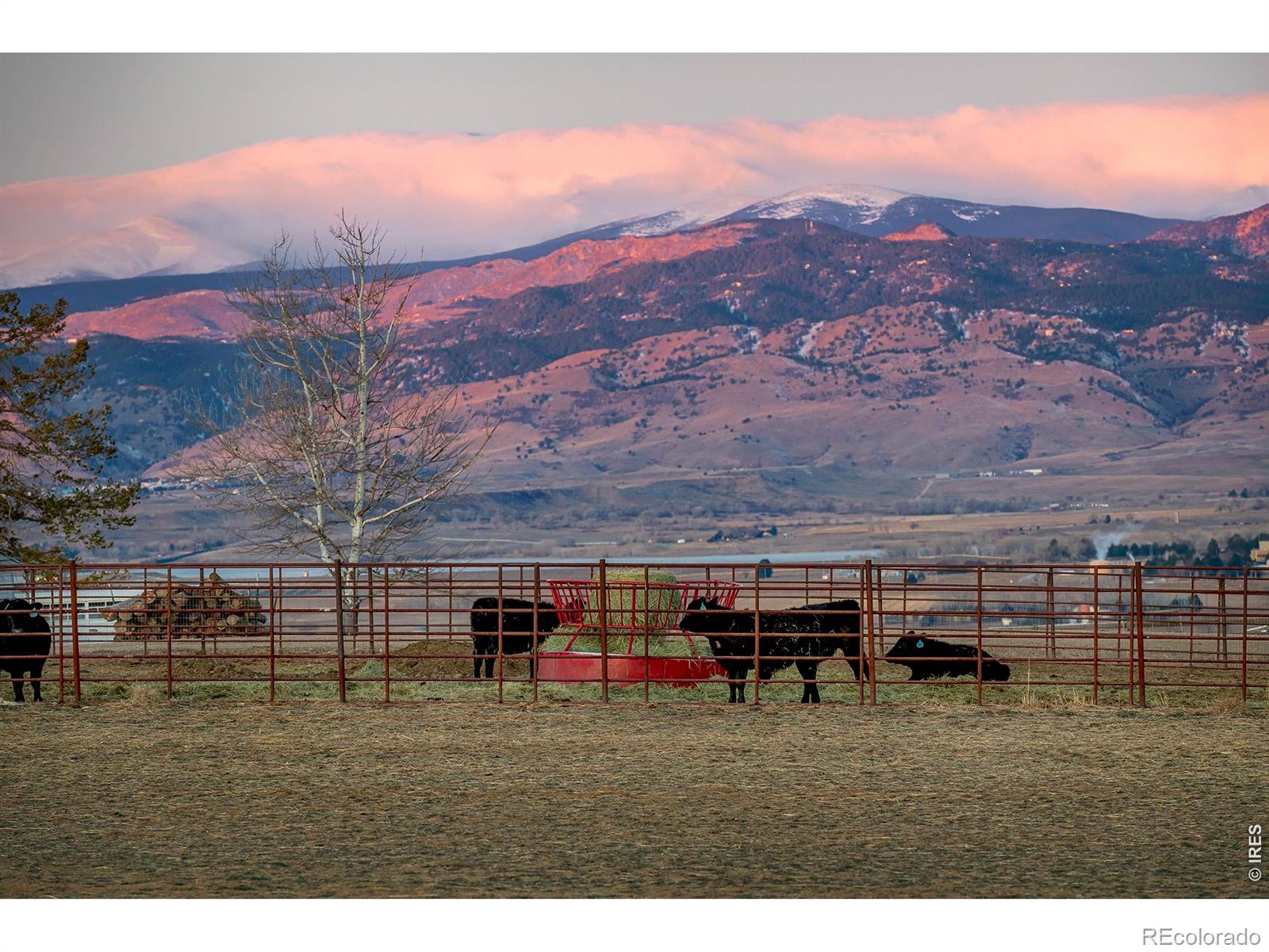 8642 Mineral Road Longmont CO 80503