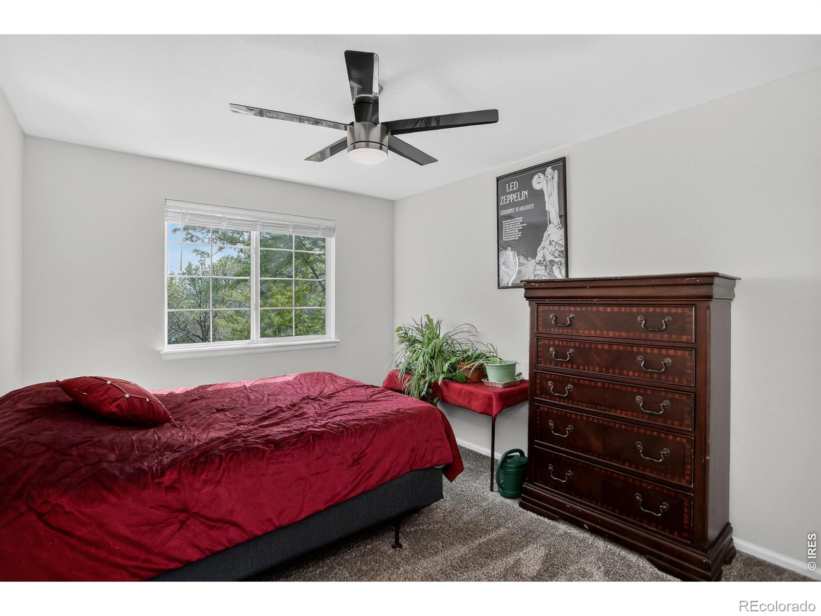 5845 Scenic Avenue Firestone CO 80504