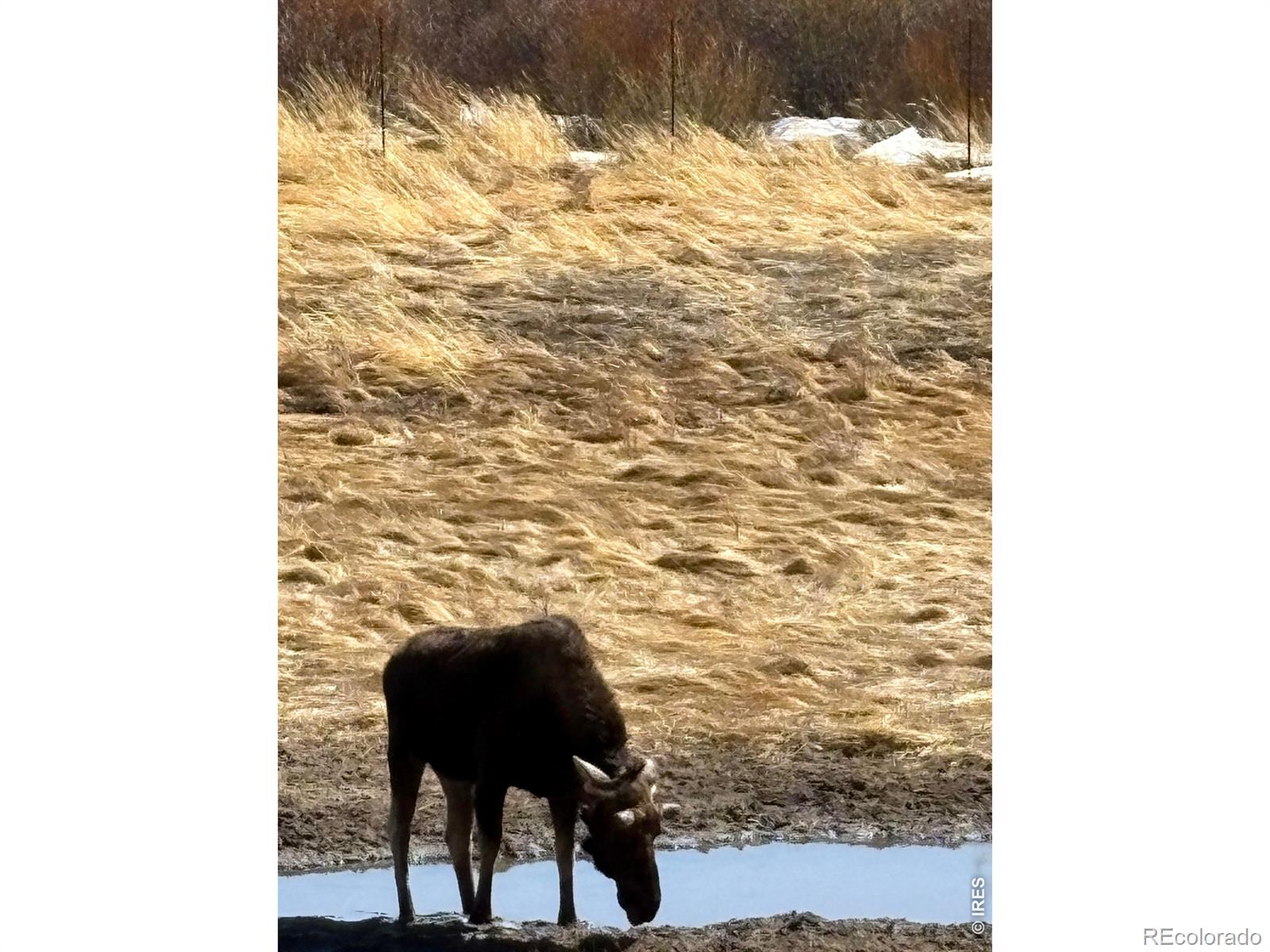 1565 Highway 66 Estes Park CO 80517