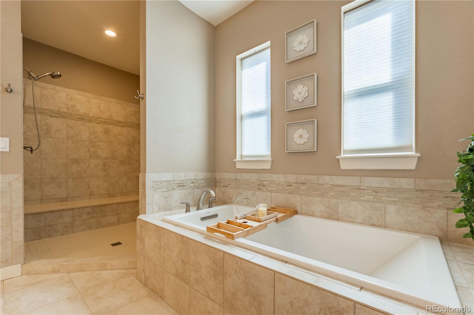 4378 Fell Mist Way Castle Rock CO 80109
