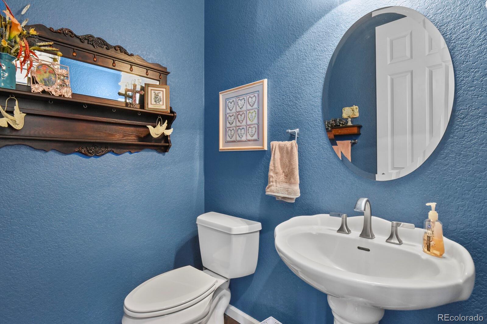 3973 Palmer Ridge Drive Parker CO 80134