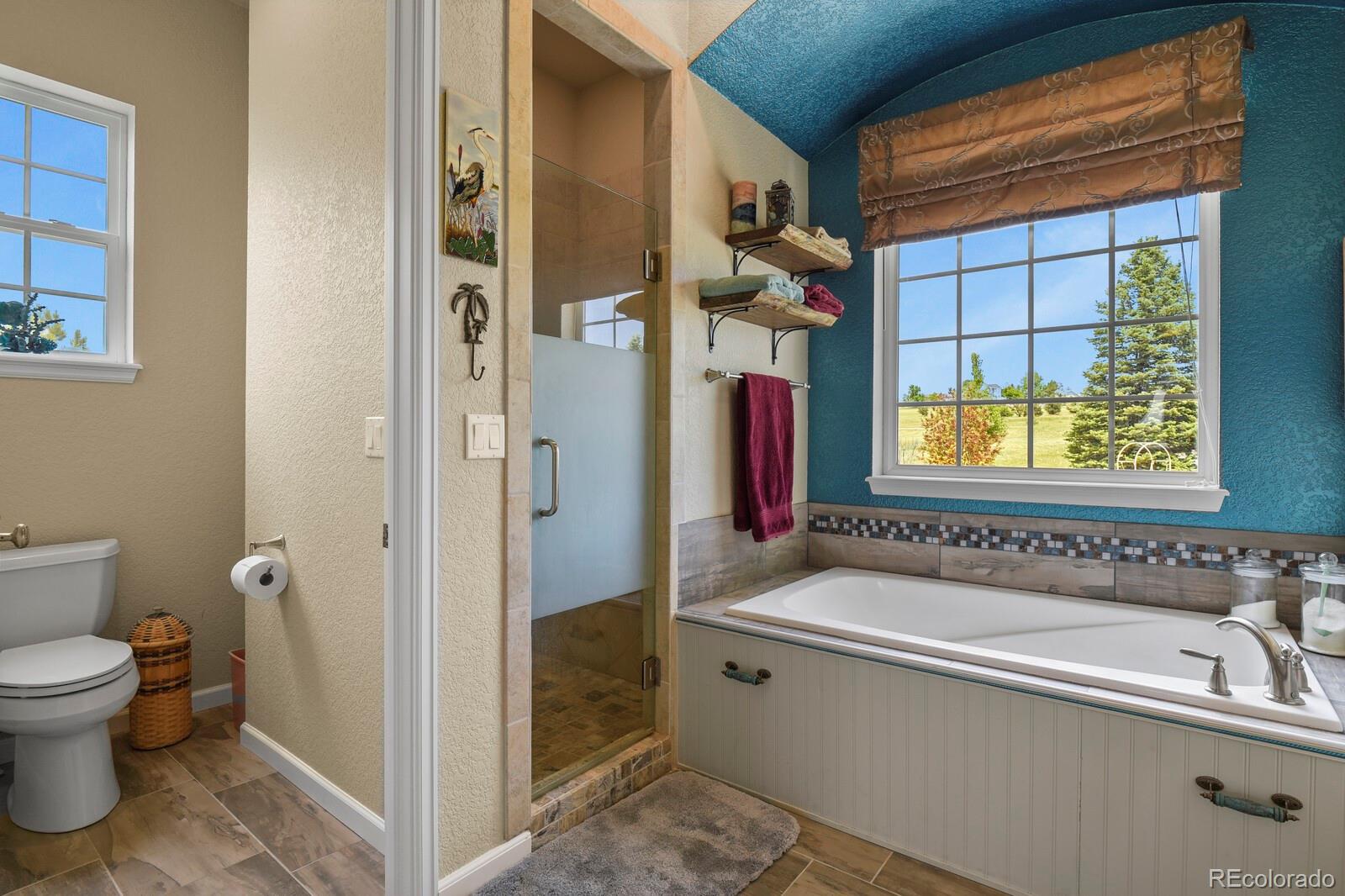 3973 Palmer Ridge Drive Parker CO 80134