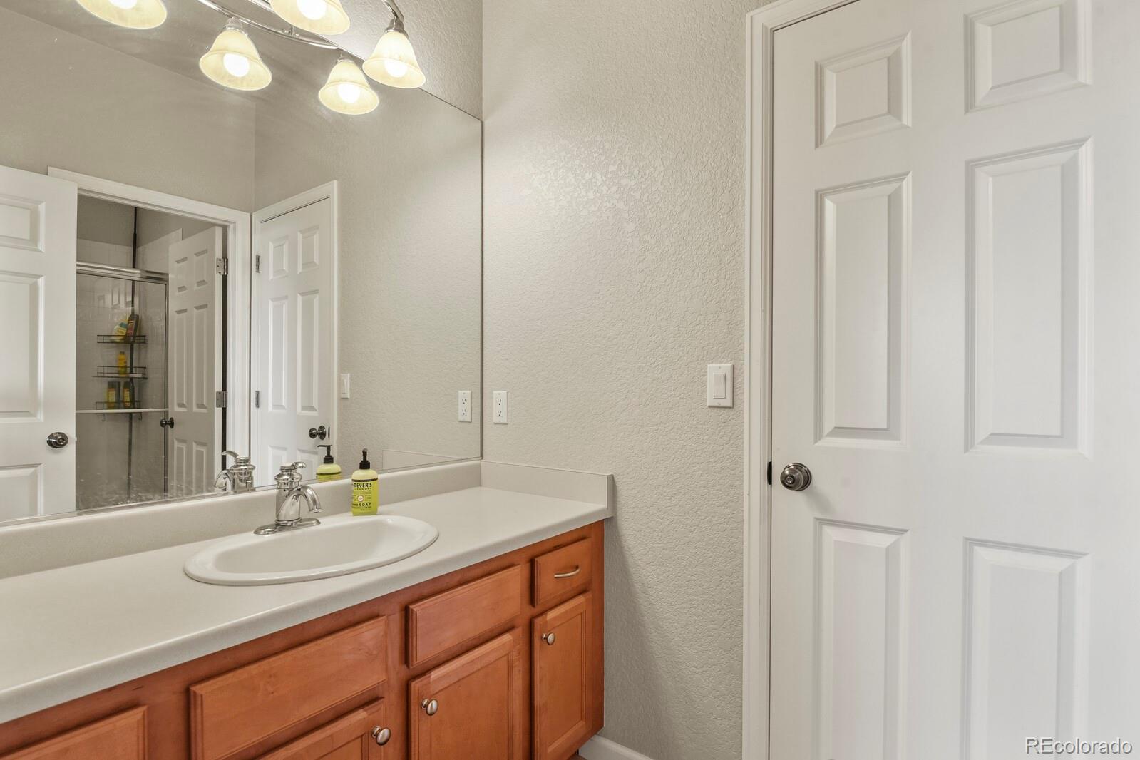 3973 Palmer Ridge Drive Parker CO 80134