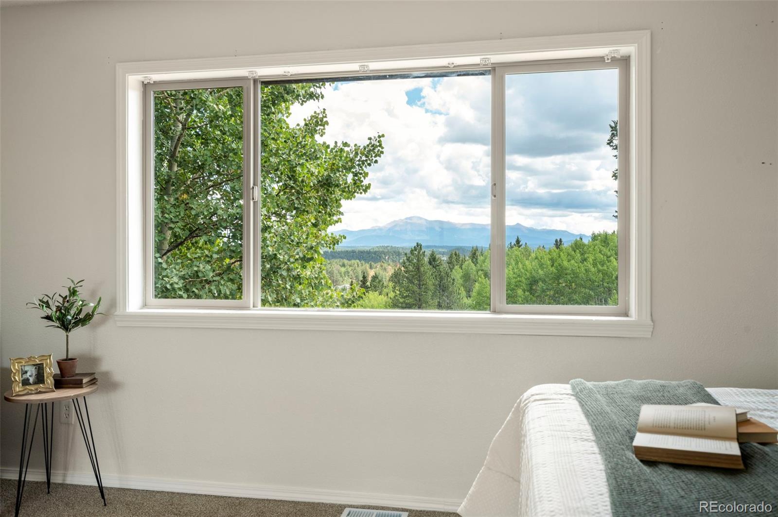 4710 Wildhorn Road Florissant CO 80816