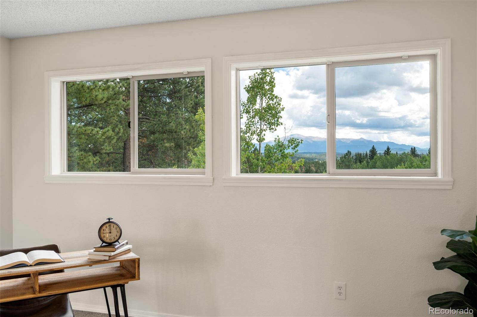 4710 Wildhorn Road Florissant CO 80816