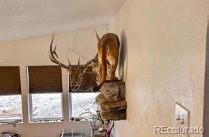 640 County Road 571 Gardner CO 81040