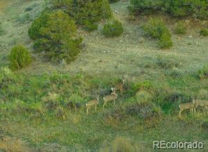 640 County Road 571 Gardner CO 81040
