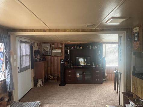 10795 County Road 197 A Nathrop CO 81236