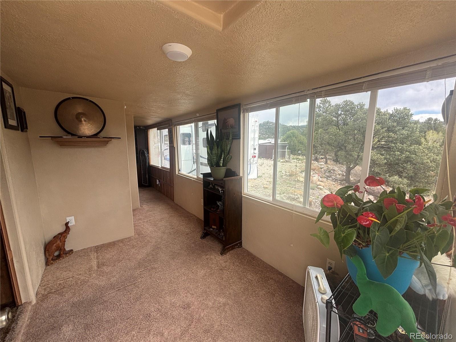 10795 County Road 197 A Nathrop CO 81236