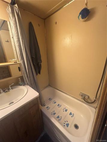 10795 County Road 197 A Nathrop CO 81236