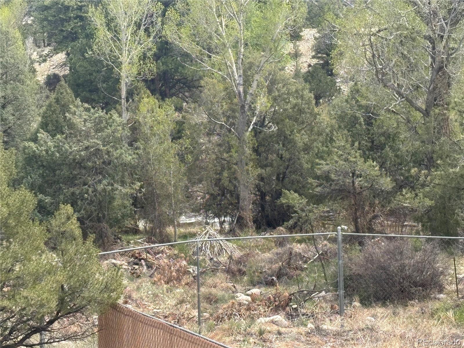 10795 County Road 197 A Nathrop CO 81236
