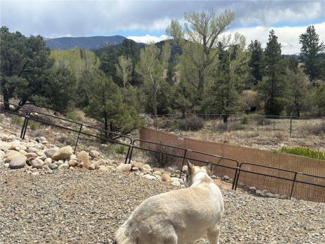 10795 County Road 197 A Nathrop CO 81236