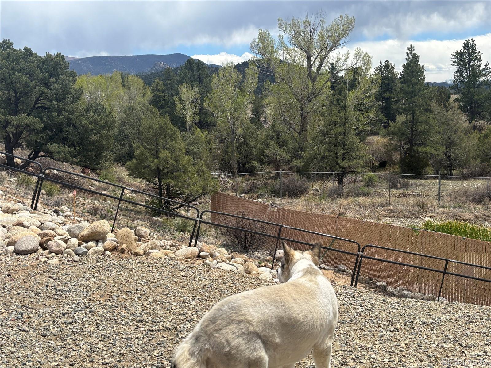 10795 County Road 197 A Nathrop CO 81236