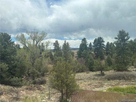 10795 County Road 197 A Nathrop CO 81236