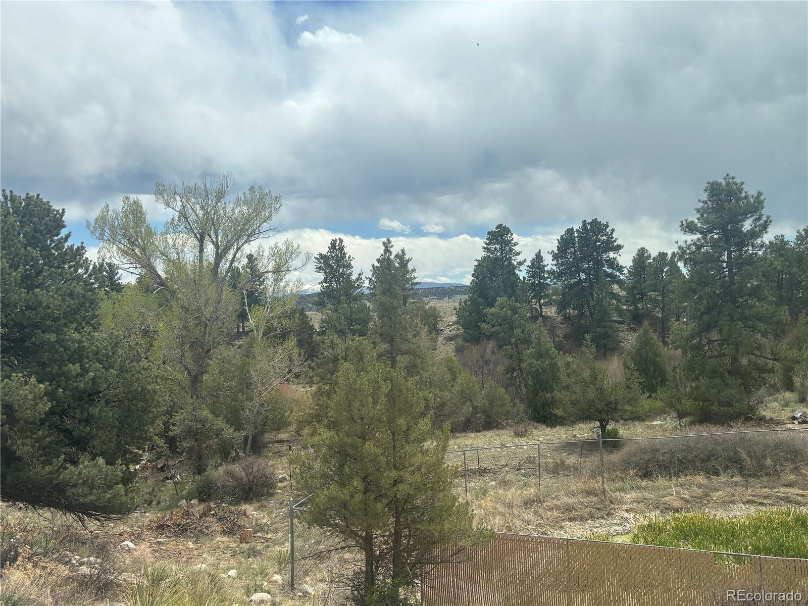 10795 County Road 197 A Nathrop CO 81236