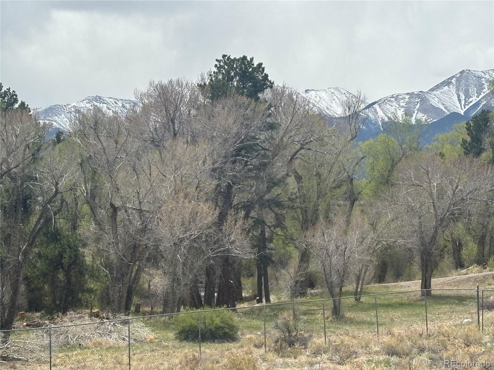 10795 County Road 197 A Nathrop CO 81236