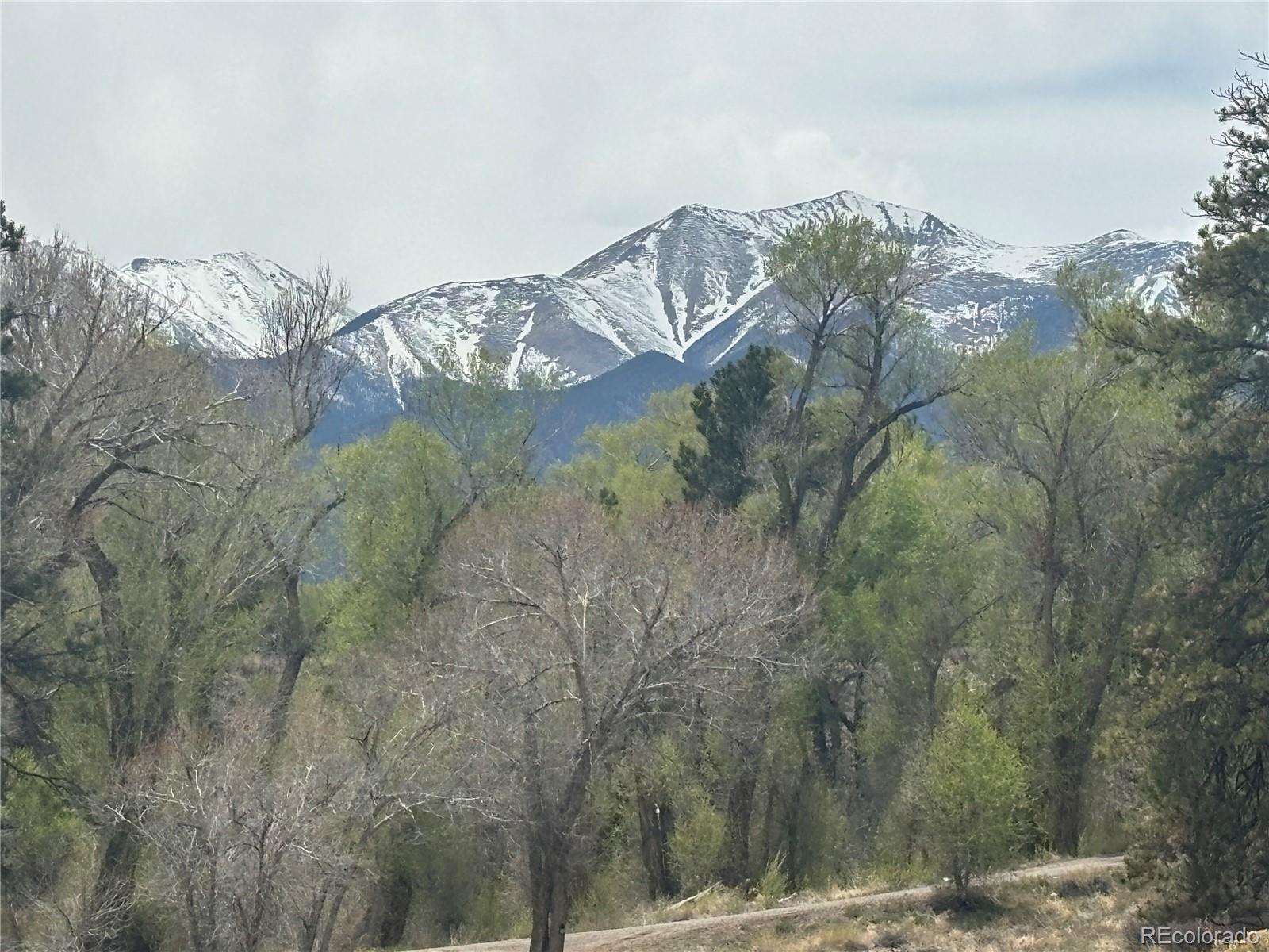 10795 County Road 197 A Nathrop CO 81236