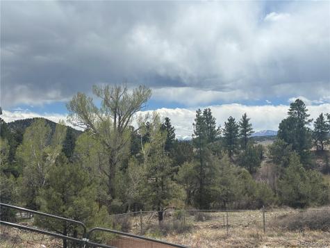 10795 County Road 197 A Nathrop CO 81236