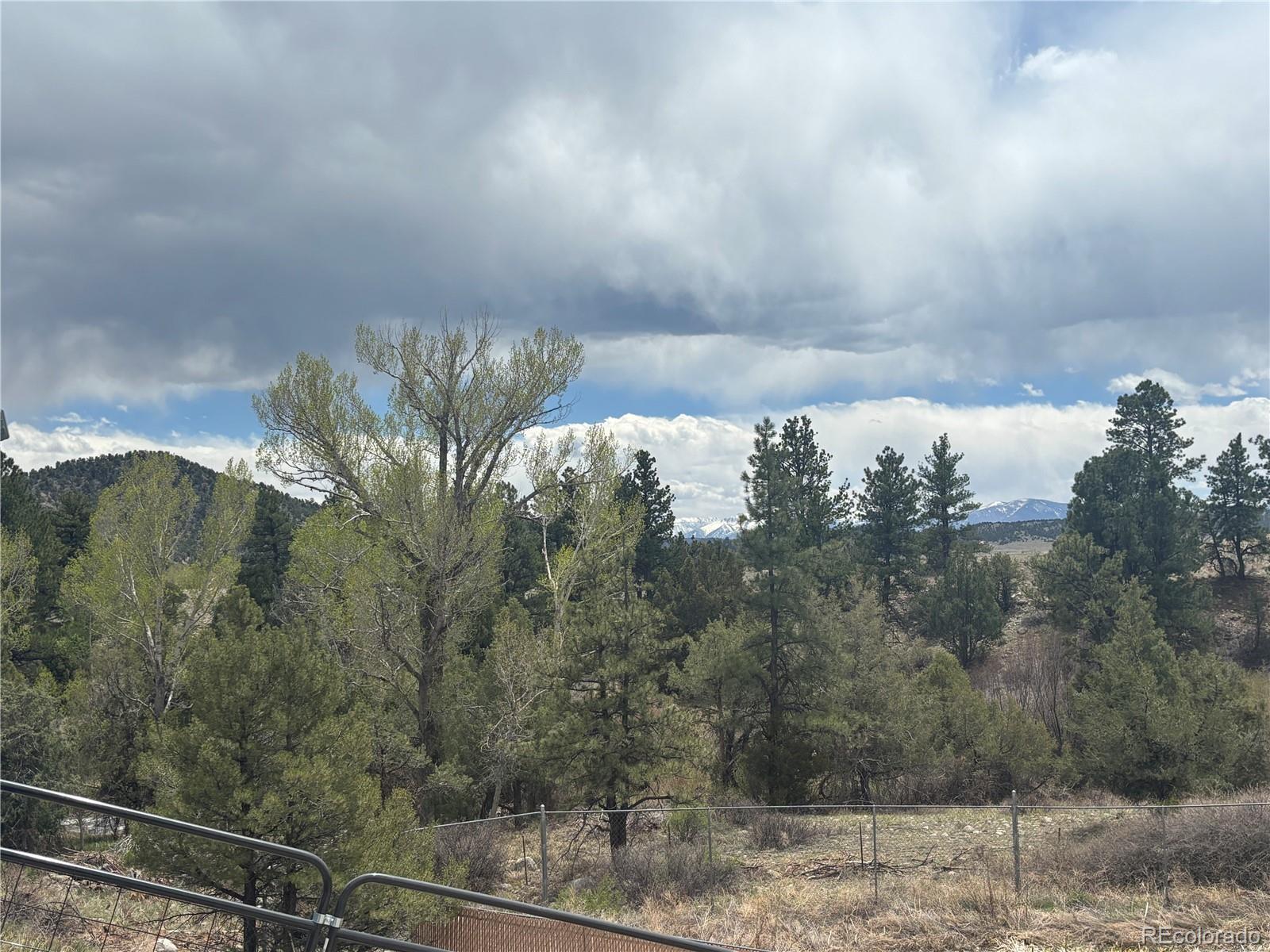 10795 County Road 197 A Nathrop CO 81236
