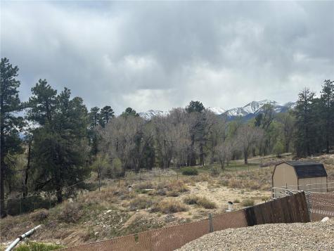 10795 County Road 197 A Nathrop CO 81236