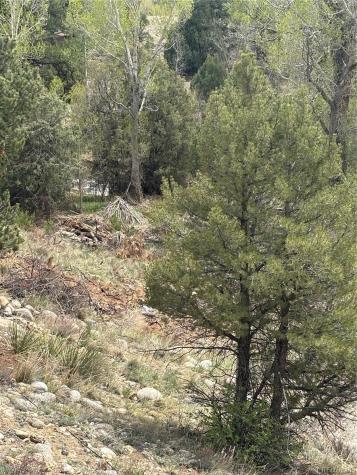 10795 County Road 197 A Nathrop CO 81236