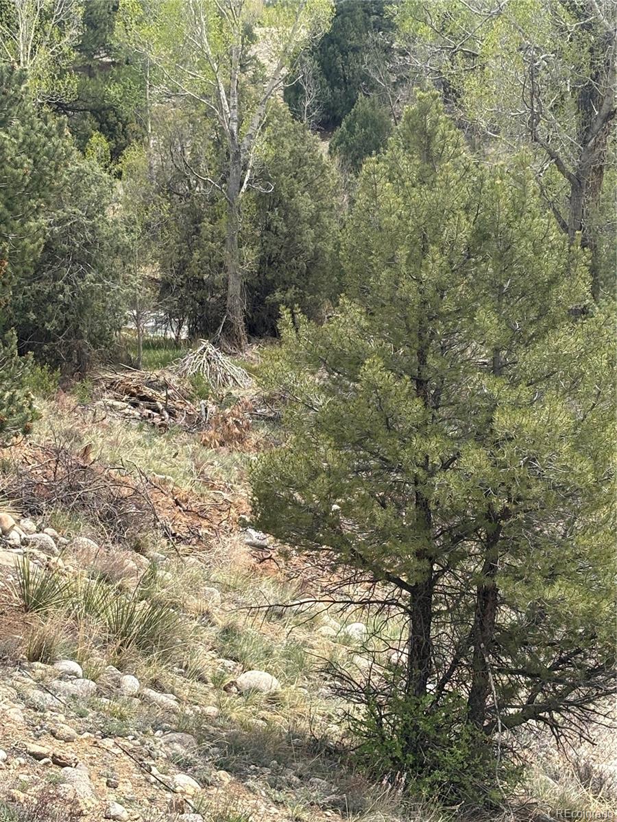 10795 County Road 197 A Nathrop CO 81236