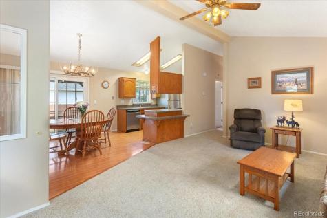 38 Rex Circle Salida CO 81201