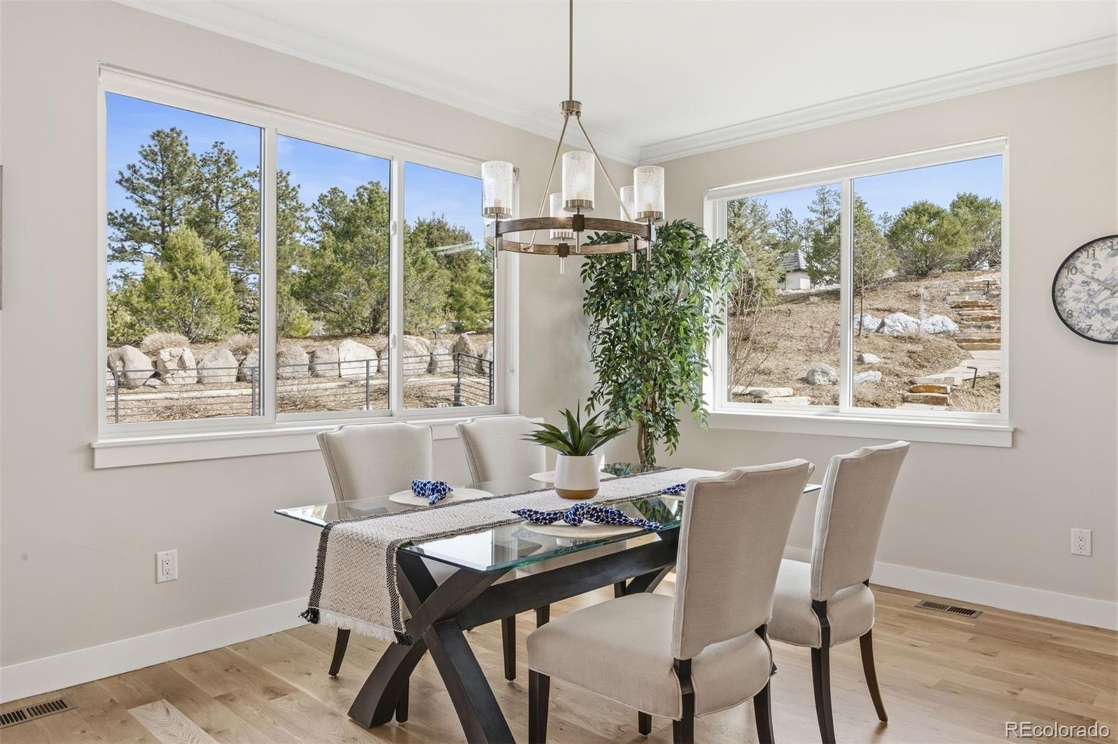 2164 Avenida Del Sol Castle Rock CO 80104