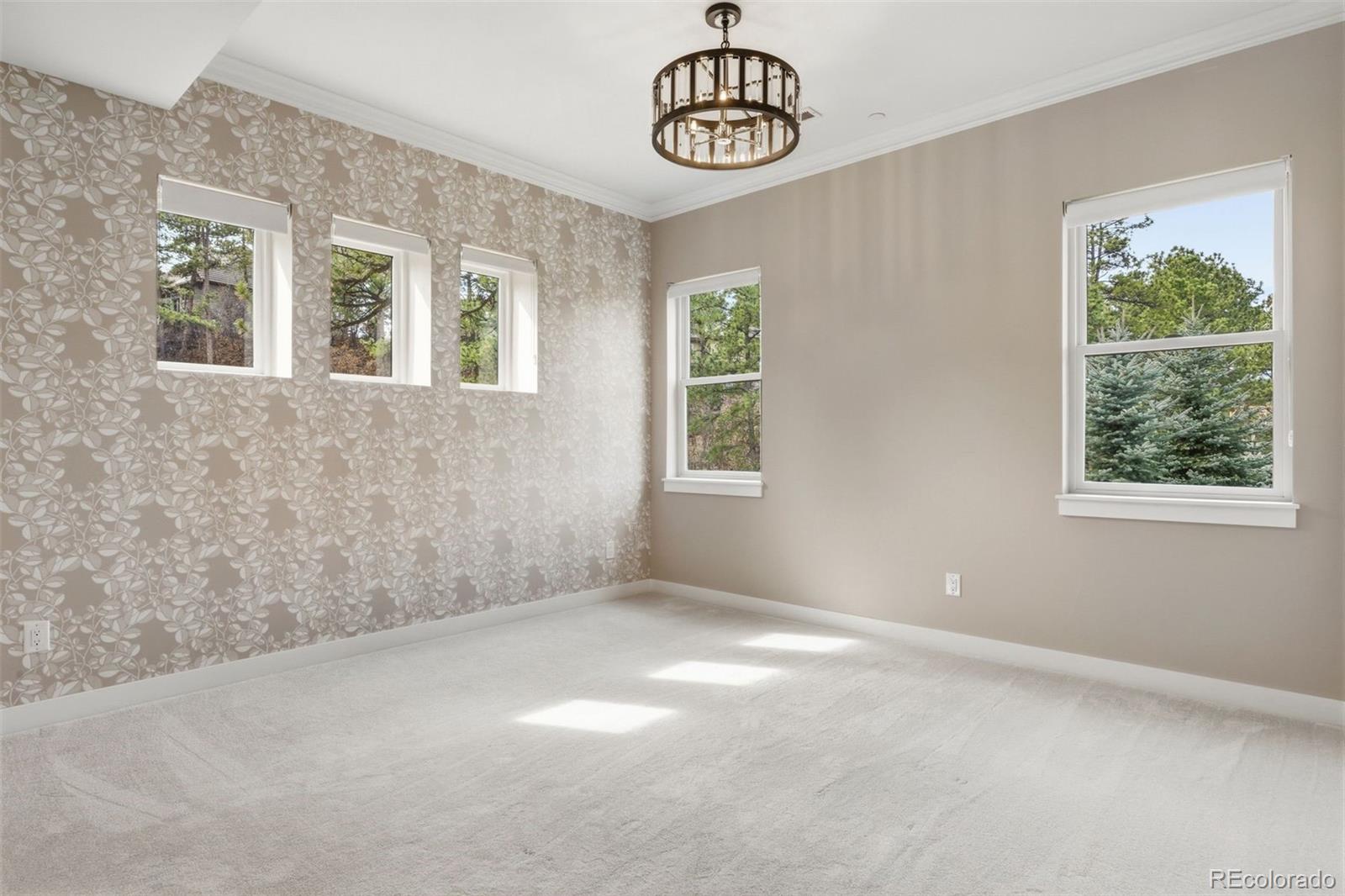 2164 Avenida Del Sol Castle Rock CO 80104