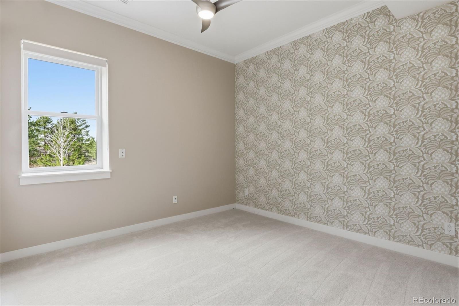 2164 Avenida Del Sol Castle Rock CO 80104